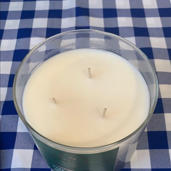 Bath and Body Works Aromatherapy Stress Relief Eucalyptus Spearmint Candle - Picture 3 of 3